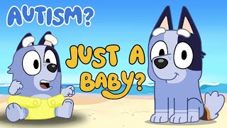 What's WRONG With SOCKS ?! BLUEY Explained