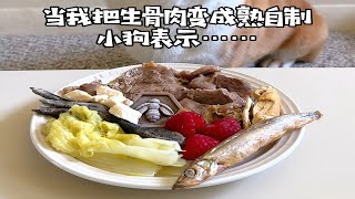 当我把生骨肉变成熟自制，小狗表示……