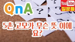 5촌 고모가 무슨 뜻 이에요?