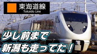 683系8000番台特急しらさぎ 岐阜駅発着シーン