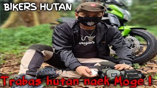 CARI ULAR MASUK HUTAN NAEK MOGE !