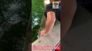 水草養殖 龍蝦宴～養蝦樂趣多系列