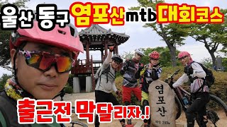 #울산동구#염포산mtb대회코스#출근전한바리#울산알파인mtb 2021. 07.01.(목).\