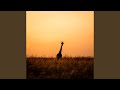 Afro Soul Only You