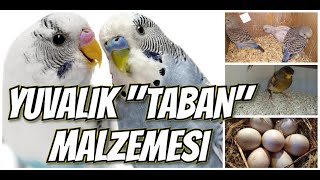 YUVALIK İÇİNE TABAN MALZEMESİ NE KULLANMALIYIZ ?? 🦜 🐦 🐤 👍