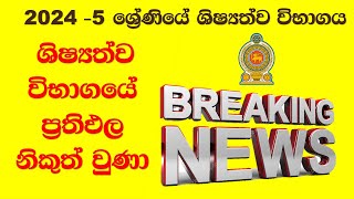 2024 Scholarship Exam -ශිෂ්‍යත්ව විභාගයේ ප්‍රතිඵල දැන් නිකුත් වුණා