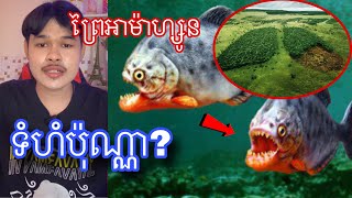 តើព្រៃអាម៉ាហ្សូនមានអ្វីខ្លះ នឹងទំហំប៉ុណ្ណា ? l Mr.Veasna