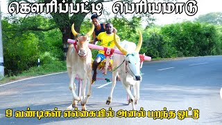 பெரியமாடு-கௌரிபட்டி-பந்தயம்_29-08-2023