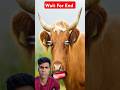 Cow Boy V/S Monkey 🐒🐵#shorts #short #ytshorts  #viral #shortfeed #tending