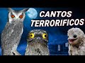 7 AVES con CANTOS ATERRADORES | Sonidos TENEBROSOS! 😨 y Extraños de aves ¡Que POCA GENTE CONOCE!