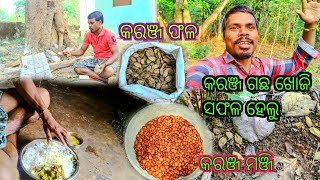 କରଞ୍ଜ ଗଛ ଖୋଜି ସଫଳ ହେଲୁ // My First Vlog 🙏🙏 @ETandGobardhanvlogs