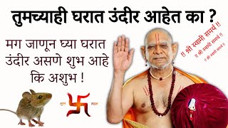 🙏🏻तुमच्याही घरात उंदीर आहेत का ?🙏🏻जाणून घ्या घरात उंदीर असणे शुभ आहे कि अशुभ💐shubh ki ashubh