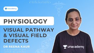 Visual Pathway & Visual Field Defects | Physiology | Dr Reena Kaur