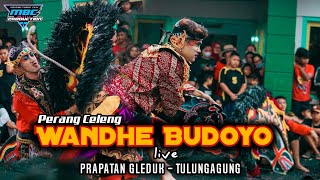 PERANG CELENG Jaranan [WANDHE BUDOYO] Live Prapatan Gleduk - Tulungagung