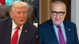 ‘He’s gonzo’: President Trump lashes ‘mentally gone’ Chuck Schumer