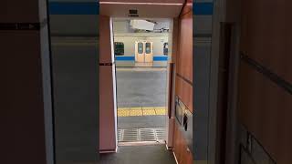 【秦野駅】VSE2号車 ドア閉め