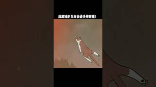 《為它發聲》第9集：流浪貓的生命也值得被尊重！不愛，請別傷害！#猫咪#猫 #猫のいる暮らし  #喵星人#宠物 #喵喵喵 #狗 #汪星人