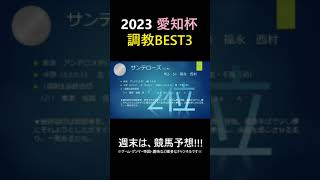 2023愛知杯調教BEST3#shorts