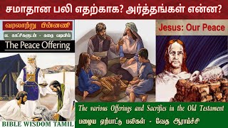 சமாதான பலி | EP 3 | Peace offering leviticus 3 | bible study in tamil