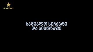 2.2. საშუალო სიჩქარე და სისწრაფე