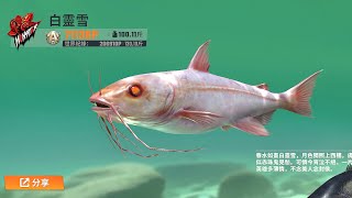 ❄Not visivle歡樂釣王傳奇(Fishing Master)/釣到 典藏神獸魚 白靈雪[6]