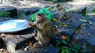 Sharing fruit to small kids, Not many kids come to eat in this morning