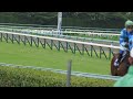 宝塚記念2017本馬場入場その１