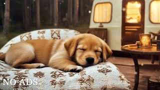 12 Hours of Calming Music for Dogs🦮💖Puppy Music Relaxation🐶🎵Separation Anxiety Relief Music⭐