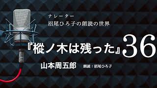 【朗読】山本周五郎『樅ノ木は残った』［36］ 朗読：沼尾ひろ子