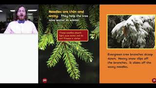 Let's Visit the Evergreen Forest | Habitats | Reading with Mac Comer