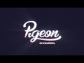 Studio Pigeon Showreel