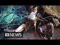 Researchers collect tonnes of plastic from polluted island, but leave it all behind | ABC News