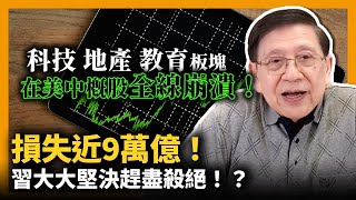 (中字)科技地產教育板塊在美中概股全線崩潰！損失近9萬億！習大大堅決趕盡殺絕！？〈蕭若元：蕭氏新聞台〉2021-07-24