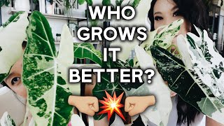 who grows it better?! with @youdontevengrowhere