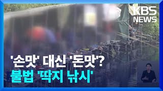 ‘돈맛’ 낚으러…판치는 불법 ‘딱지 낚시’ / KBS  2024.06.27.