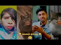 Bagad Billa funny video 😂\\ Bagad BILLA funny reels 😂\\ Ankit .Ang Funny Cat Video \\#comedy