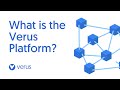 What is the Verus Platform?