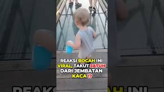 Rekasi Bocah ini Saat Ketakutan Lewat Jembatan Kaca Viral Banget! #shorts #reaksi #bayi #kaca