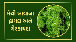 મેથી ખાવાના ફાયદા અને ગેરફાયદા | Benefits and disadvantages of eating fenugreek | Health Tips