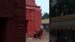 Jamshedpur Durga Puja Pandal 2022 | Kadma Utkal Samaj Puja Pandal Interior Design + Decoration