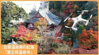 【ドローン空撮】山代温泉「薬王院温泉寺」～加賀温泉郷の紅葉～