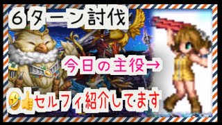 FFBE 見参チョコボ大隊　セルフィ