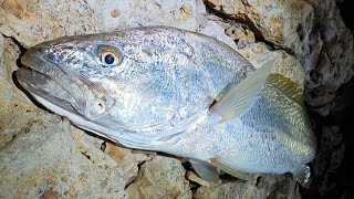 The Joy's And Challenges Of Rock Fishing: A Must-Watch Adventure