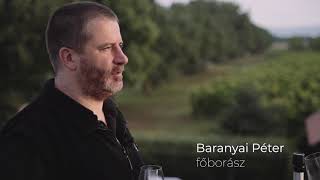 The Most Successful Young Winemaker: Péter Baranyai (Garamvári Winery) | VinAgora 2020