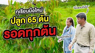 ปลูกทุเรียนมือใหม่ ปลูก 65 ต้น รอดทั้ง 65 ต้น