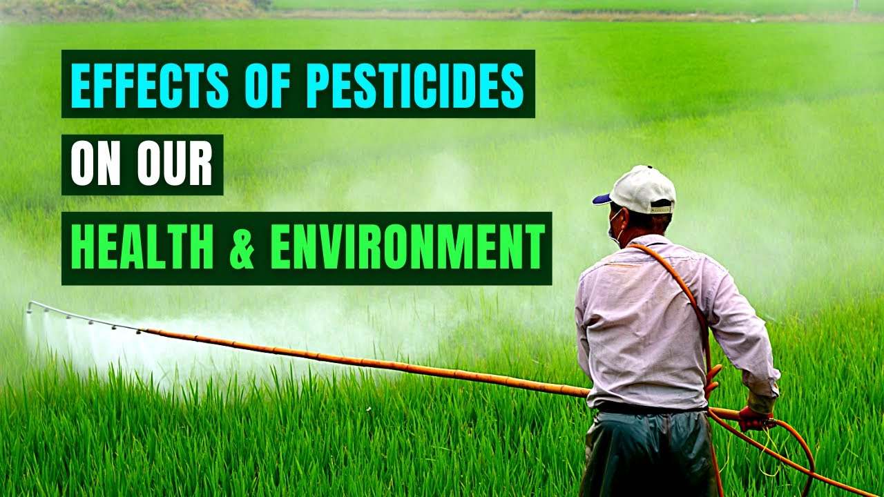 Devastating Effects Of Pesticides On Our Health And Environment - YouTube