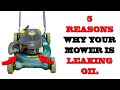 Top 5 Reasons Why Your Lawn Mower Is Leaking Oil