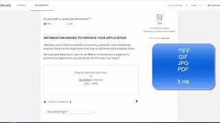 Access Nevada - How to upload documents