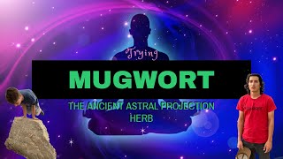 TRYING MUGWORT: ANCIENT ASTRAL PROJECTION HERB