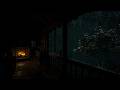 NO ADS🔕Rainy Forest Night Ambience🌧️Thunderstorm with Cozy Fire Sounds for Sleep, Study & Relax